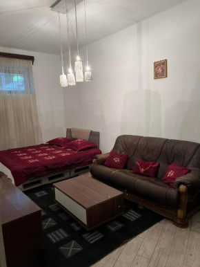 Tali home abashidze